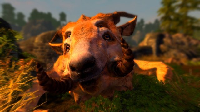 enb 2019_04_14 23_45_16_34.jpg