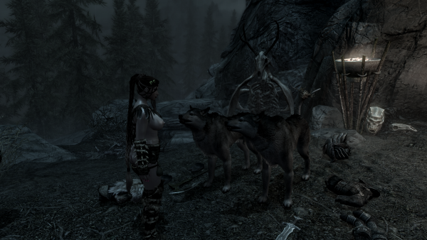 Ждите здесь, вещи постерегите, Кодлак  сказал сама, значит сама. 2020.02.21 - 11.53.05.27