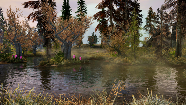 SkyrimSE 6.0 - Болото