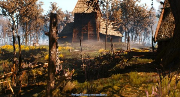 witcher3 На кривоуховых топях..