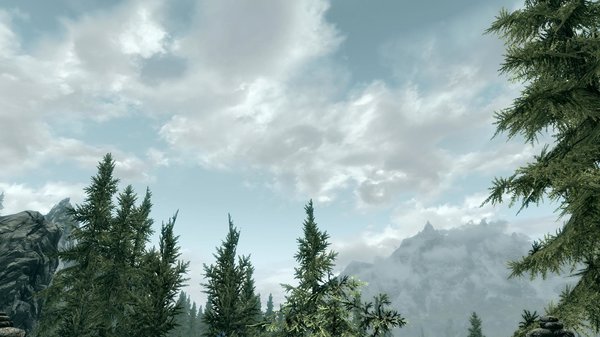 TESV 2020-03-28 17-02-12-34.jpg