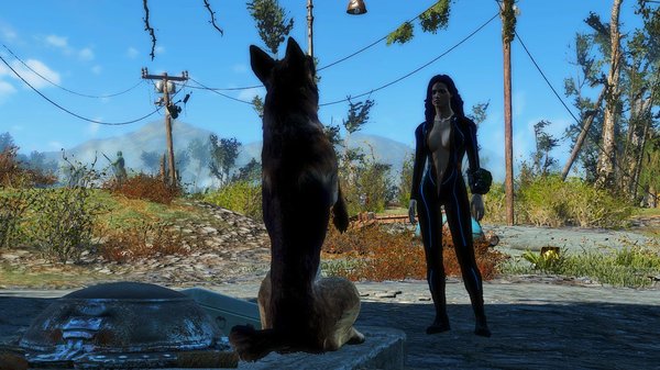 Пес готов стать другом! Fallout-4 (сборка 6.0)