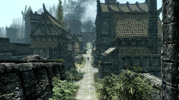 TESV 2020-03-22 17-51-51-73.jpg