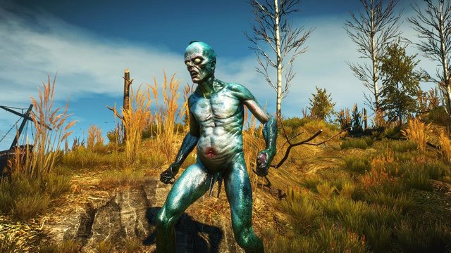 witcher3 2020-02-15 00-03-56-26.jpg