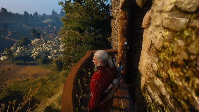 witcher3 2020-02-10 22-54-21-75.jpg