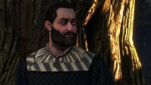 witcher3 2020-02-20 22-45-57-90.jpg