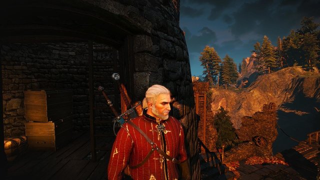 witcher3 2020-02-10 22-18-48-45.jpg