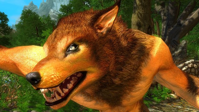 enb 2020_03_05 21_48_56_32.jpg