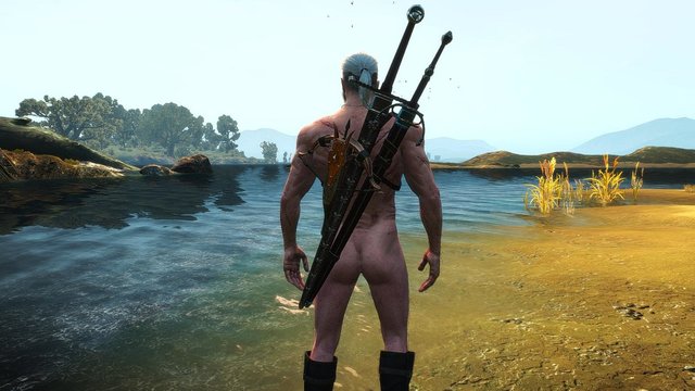 witcher3 2020-02-15 00-12-04-70.jpg