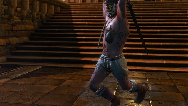 witcher3 2020-02-06 20-15-38-81.jpg