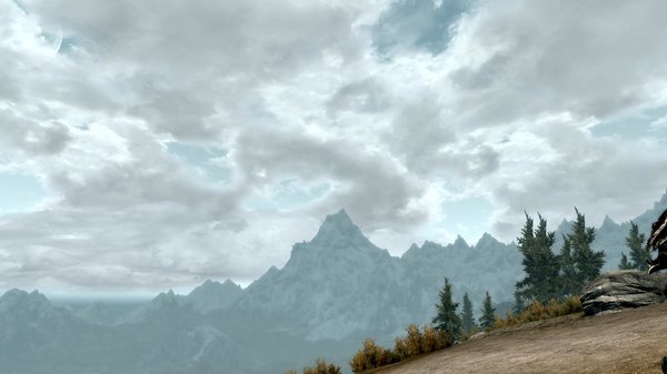 TESV 2020-04-20 15-46-47-95.jpg