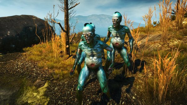 Стремаемся, Геральт возвращается! WITCHER III