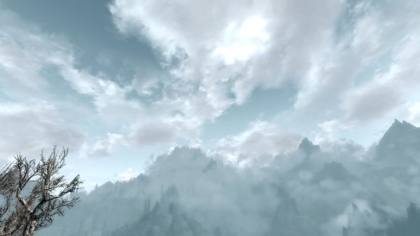 TESV 2020-04-20 16-00-54-17.jpg