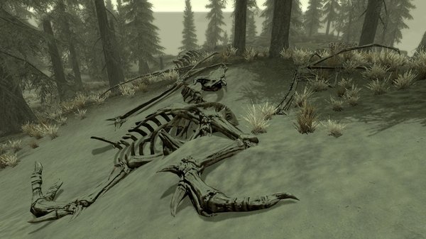 TESV 2020-04-15 15-52-14-42.jpg