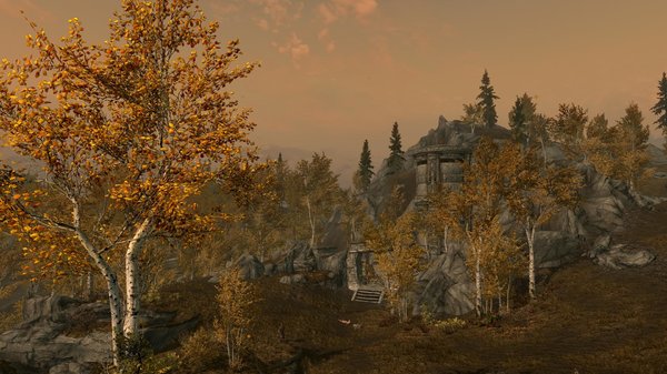 TESV 2020-04-13 15-21-57-08.jpg