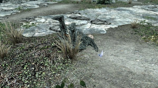 TESV 2020-04-28 16-12-36-14.jpg