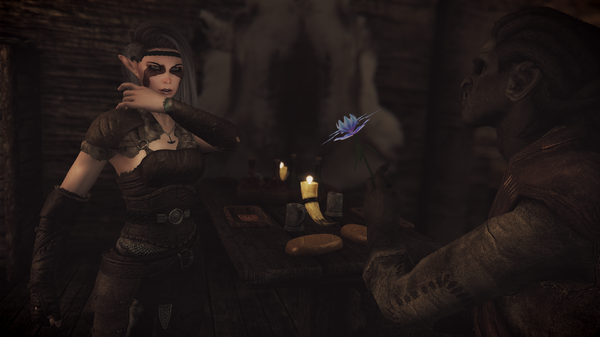 The Elder Scrolls V  Skyrim Special Edition Screenshot 2020.04.07 - 04.15.53.38.png