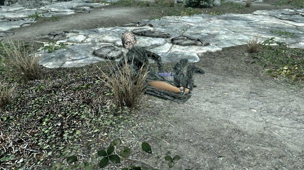 TESV 2020-04-28 16-12-37-51.jpg