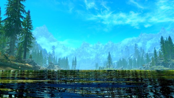ПЕЙЗАЖ и жжж стрекозок )) SkyrimSE (сборка 6.0)