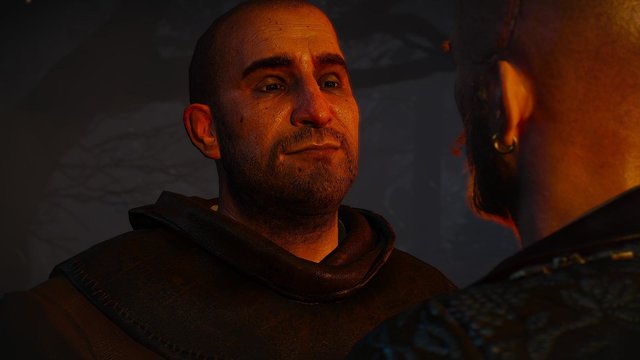 witcher3 2020-05-18 22-05-49-33.jpg