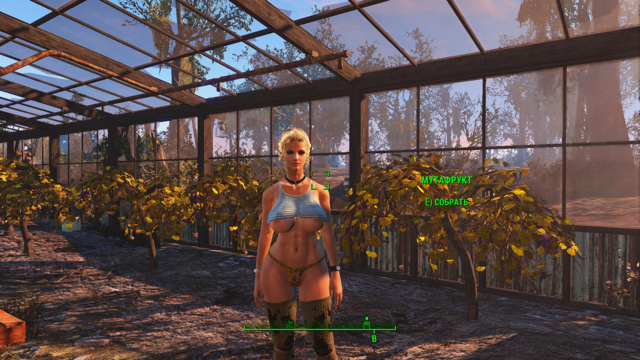 Fallout4 2020-05-25 16-52-12.png