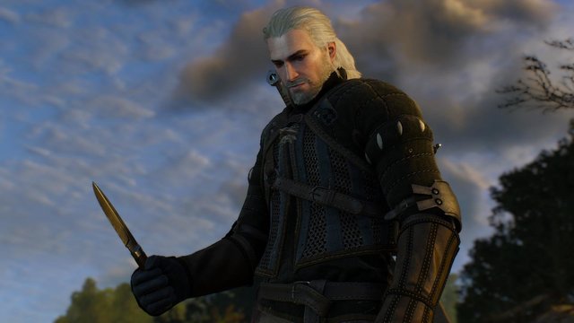 witcher3 2020-05-14 21-13-29-55.jpg