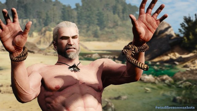 witcher3 2020-05-18 01-24-22-06.jpg