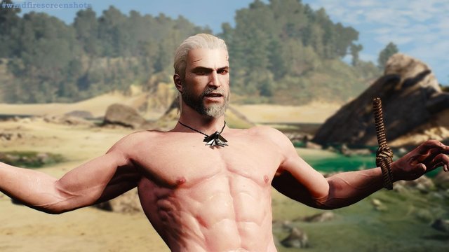 witcher3 2020-05-18 01-24-23-07.jpg