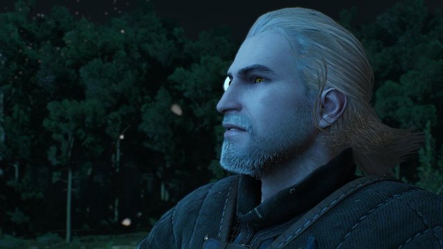 witcher3 2020-05-14 21-31-58-40.jpg