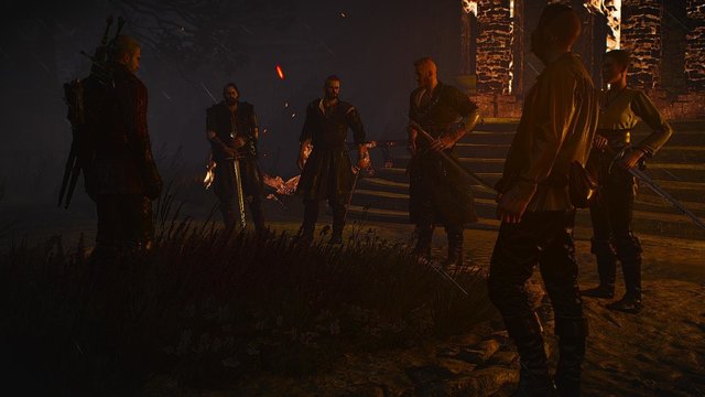 witcher3 2020-05-18 22-02-29-87.jpg