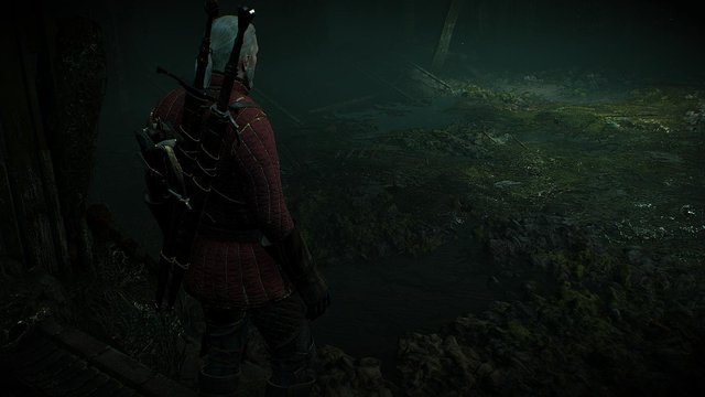 witcher3 2020-05-18 01-12-03-42.jpg