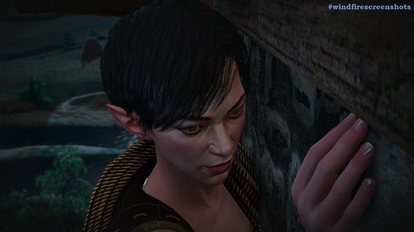 Высота... ВЕДЬМАК III (сборка Торна)