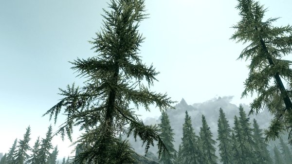 TESV 2020-05-25 17-38-25-64.jpg