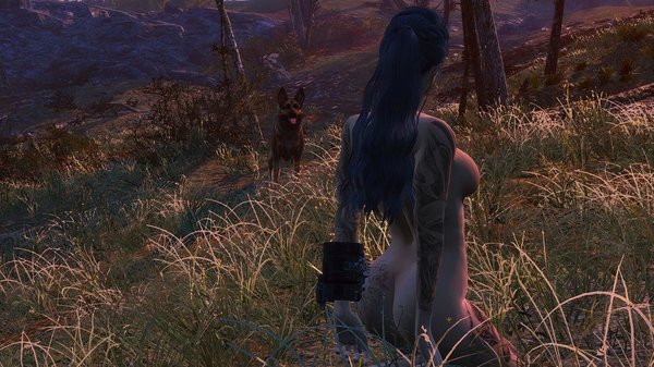 Нагая, но под охраной.. FALLOUT-4 (Сборка 6.1)