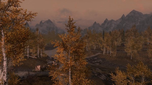 TESV 2020-05-22 17-00-26-63.jpg