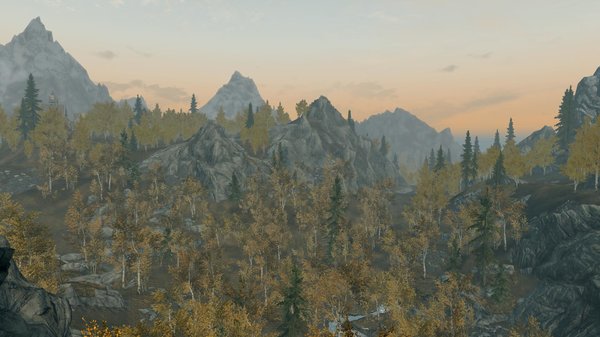 TESV 2020-05-27 16-30-12-97.jpg