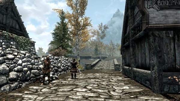 TESV 2020-05-08 13-52-08-08.jpg