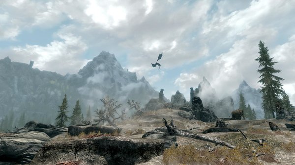 TESV 2020-05-24 15-01-45-29.jpg