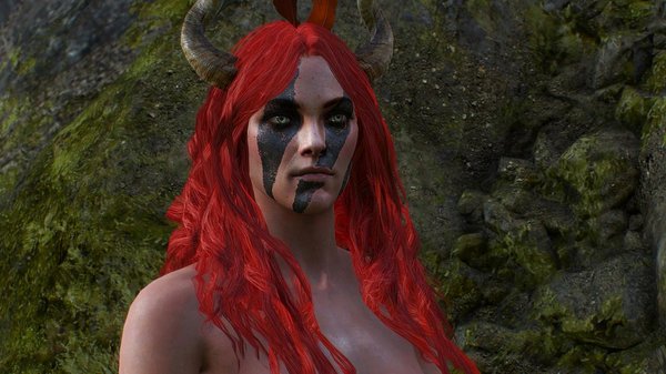 Суккуба.. ВЕДЬМАК III (сборка Торна)