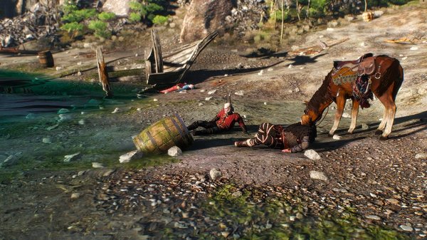 Приплыли. На Скелиге. WITCHER III