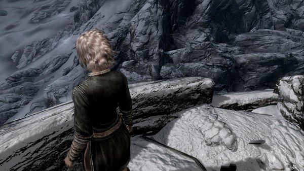 TESV 2020-05-26 17-18-22-23.jpg