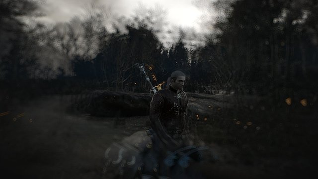 witcher3 2020-05-25 01-14-38-66.jpg