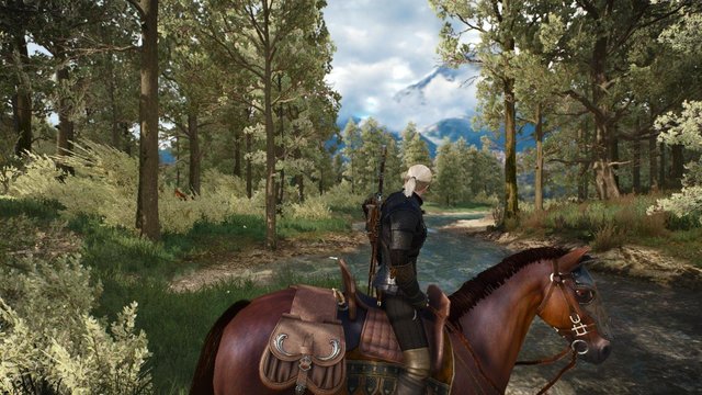 witcher3 2020-06-04 00-49-35-03.jpg