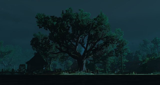 witcher3 2020-05-22 01-45-23-27.jpg