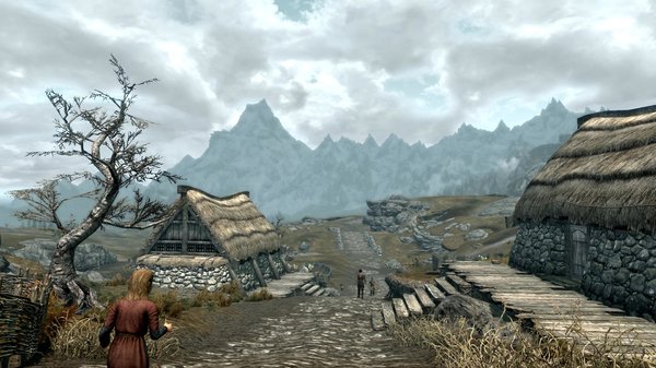 TESV 2020-06-26 17-26-23-20.jpg