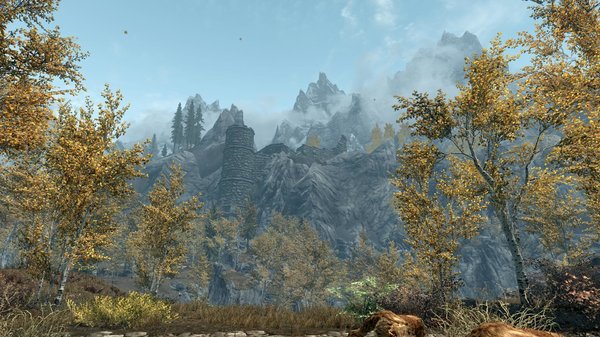 TESV 2020-06-19 16-15-34-73.jpg