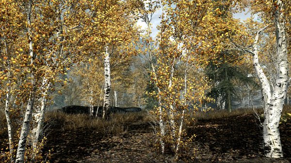 TESV 2020-06-19 15-41-55-85.jpg