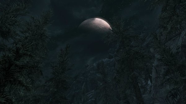 TESV 2020-06-13 18-16-09-80.jpg