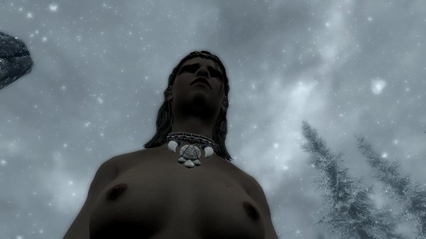 TESV 2020-06-15 13-46-38-91.jpg