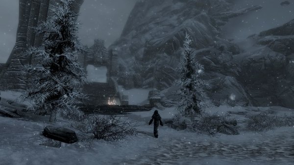 TESV 2020-06-13 15-03-10-07.jpg